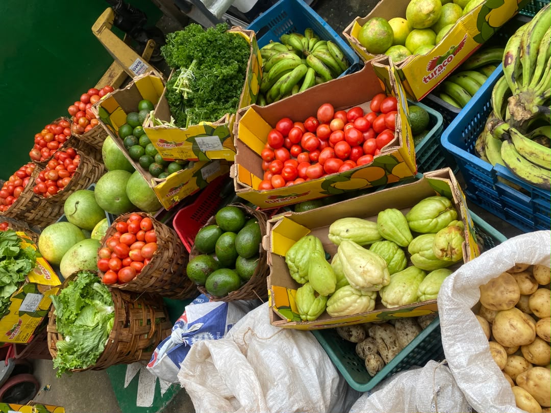 Fresh provisions