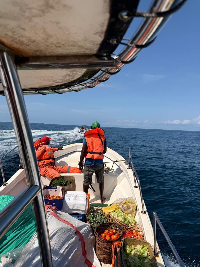 Offshore delivery